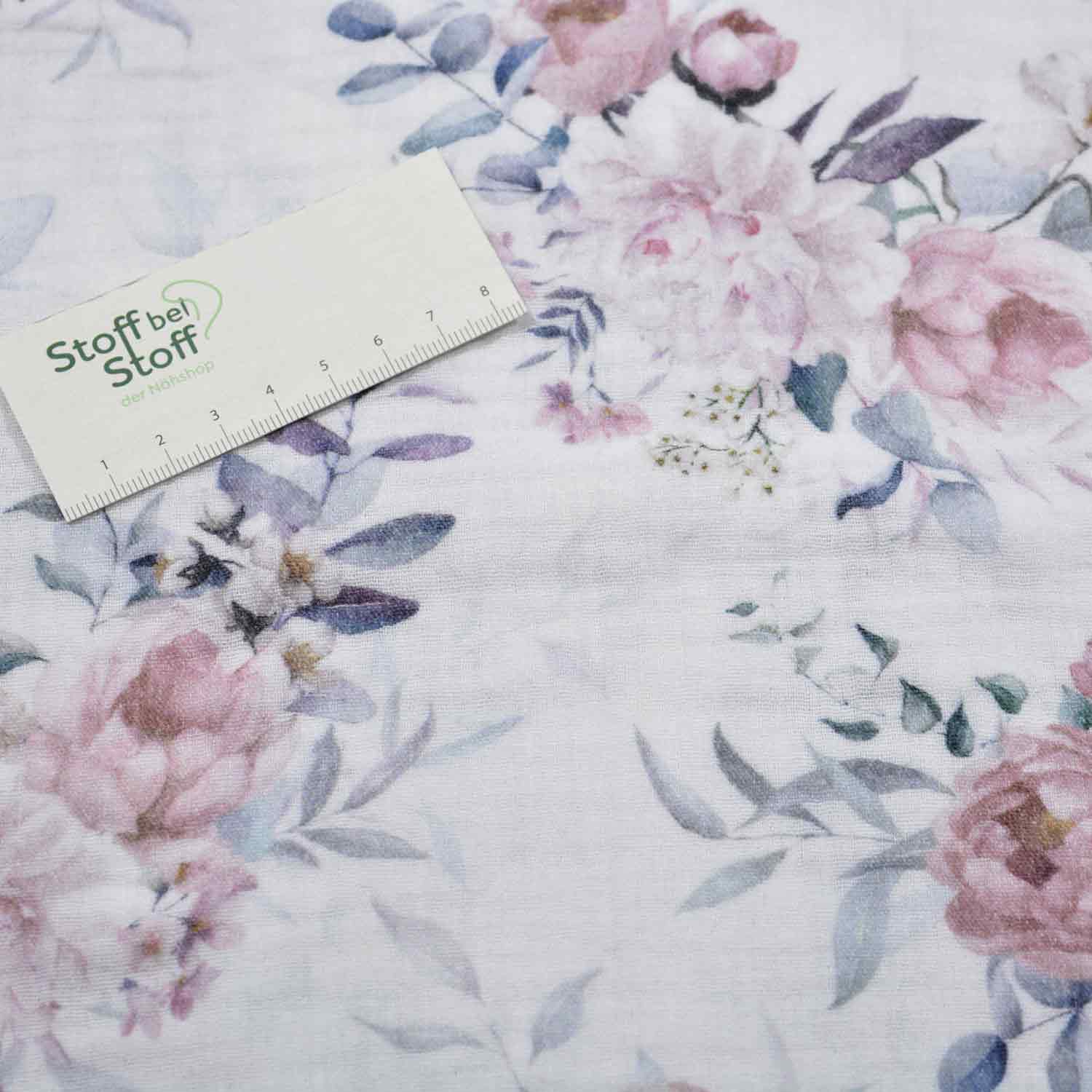 Musselin Alissa - SBS11265