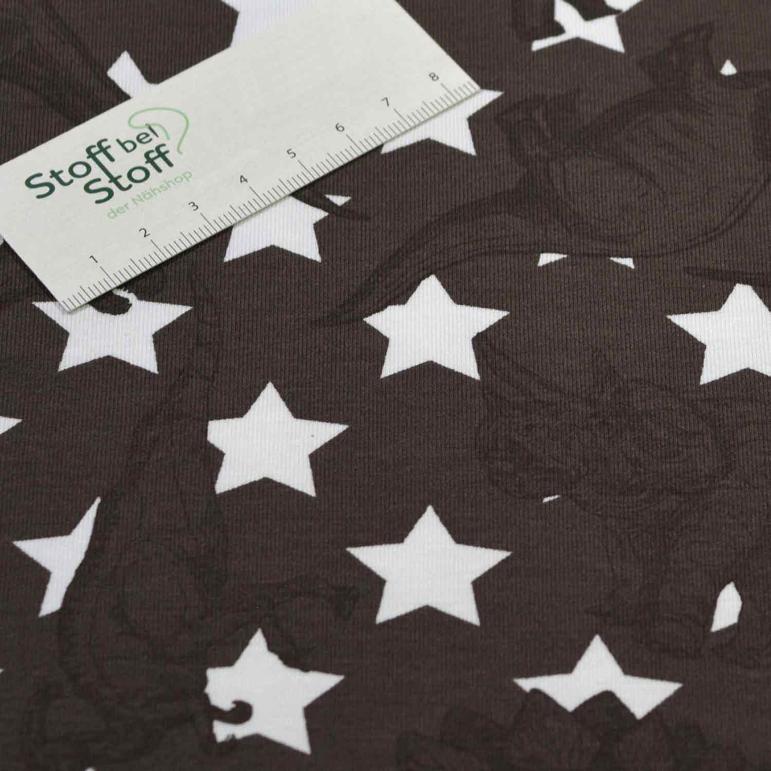 Baumwoll-Jersey "Dino-Stars" SBS10165